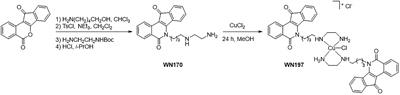 A Novel Copper(II) Indenoisoquinoline Complex Inhibits Topoisomerase I, Induces G2 Phase Arrest, and Autophagy in Three Adenocarcinomas